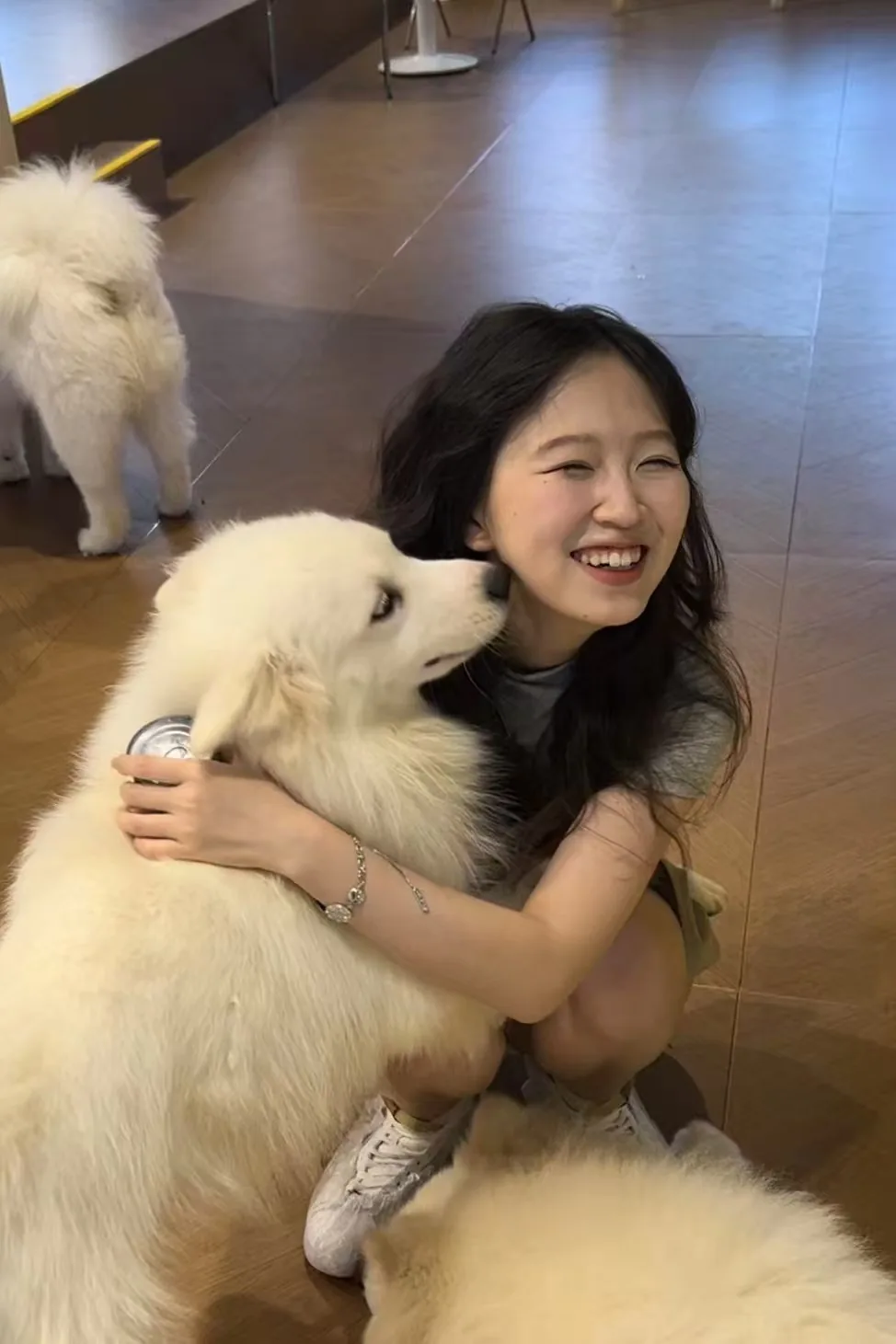 生活照：与白色狗狗互动