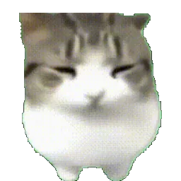 妙脆角小猫动态表情